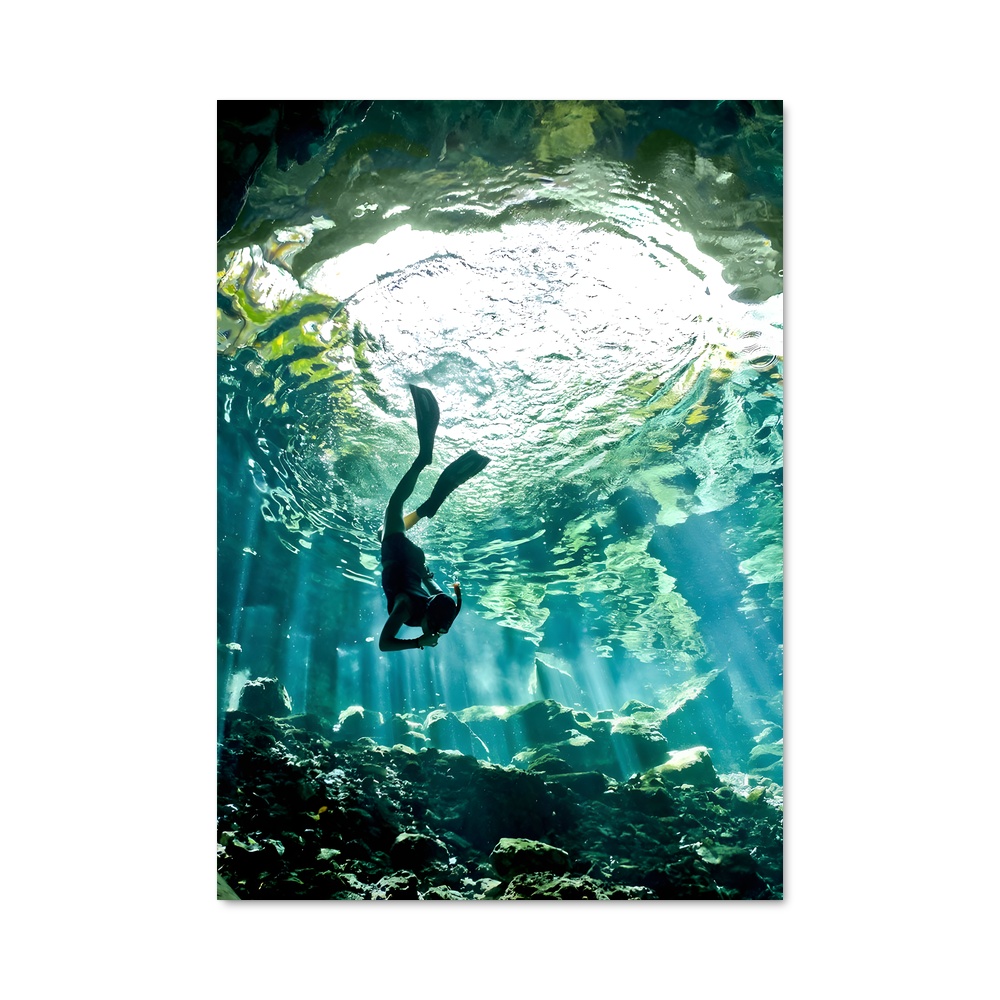 Poster World aquatics grotte